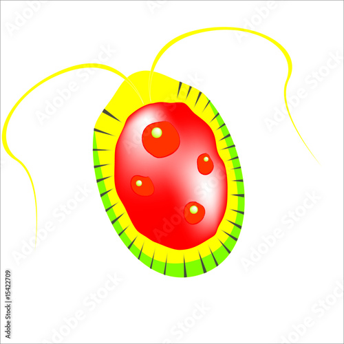 Bacteria (ras_2)
