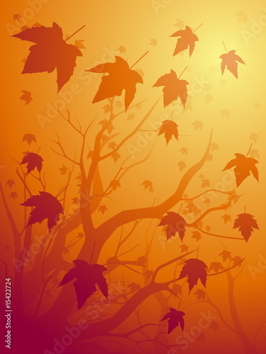 Fall maple background