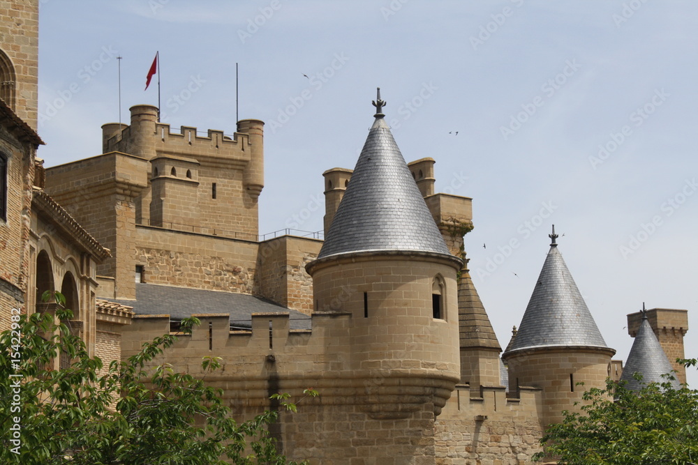 Castillo de los reyes de Navarra, Olite.