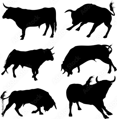 Bull silhouete