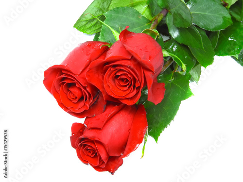 Fototapeta Naklejka Na Ścianę i Meble -  Beautiful three red roses isolated on white background.