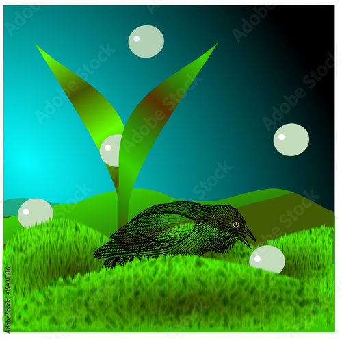Protection de l'environnement.