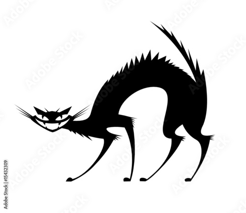 Photography Black wild cat isolated on white background