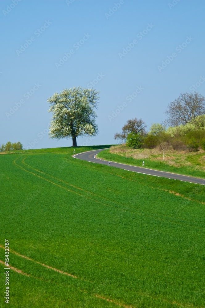 Obraz premium Landstraße