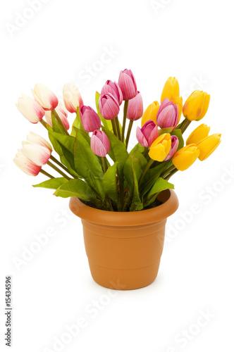 Wallpaper Mural Pot with tuplis isolated on white Torontodigital.ca