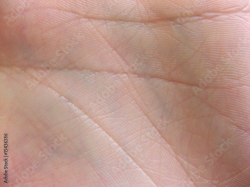 palm texture
