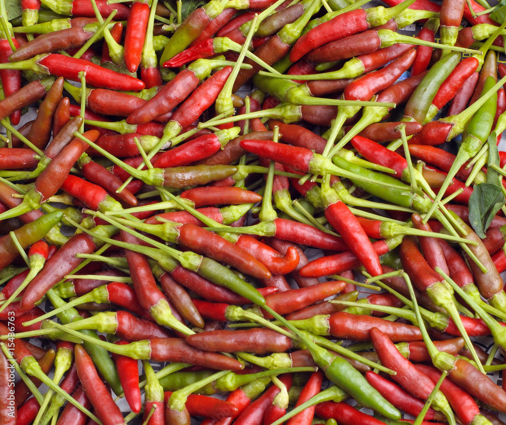 small and red hot birdeye chili padi close up small and red hot birdeye chili padi close up