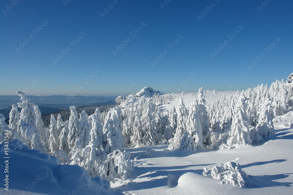 Fototapeta premium Winterlandschaft