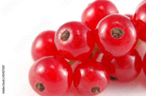 red currant