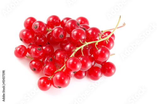 red currant