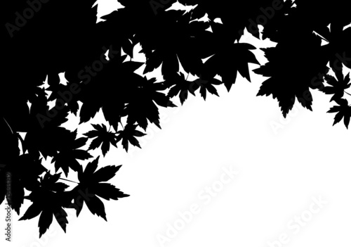 Leaves silhouette