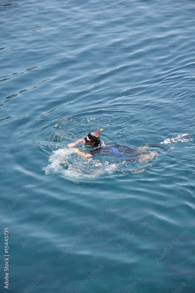 Fototapeta premium apnea