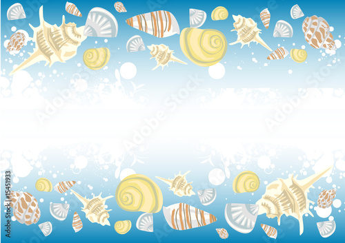 shell