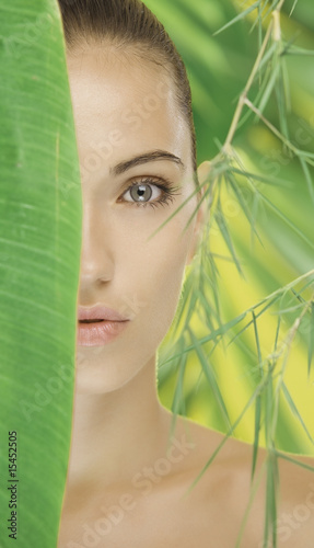 behind leaf