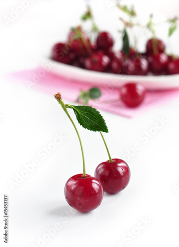 kirschen duett - cherry time photo
