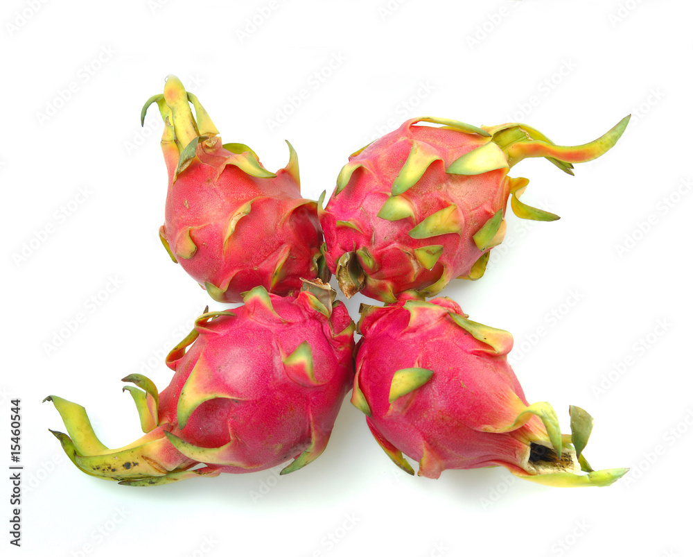 dragon fruit dragon fruit