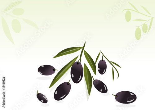 oliven illustration