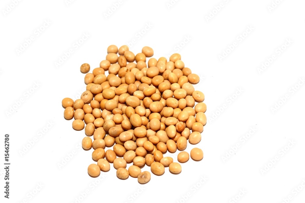 Group of soybean Group of soybean
