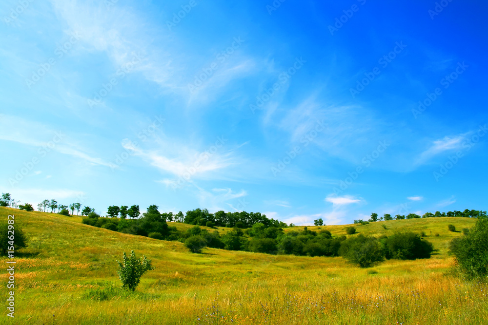 Obraz premium summer landscape