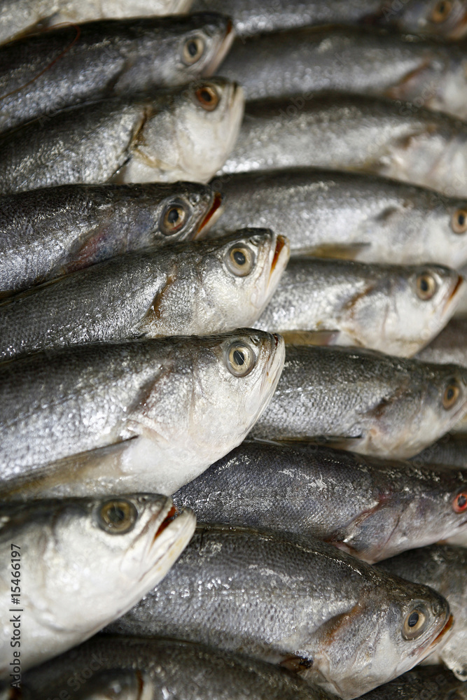 Obraz premium fish