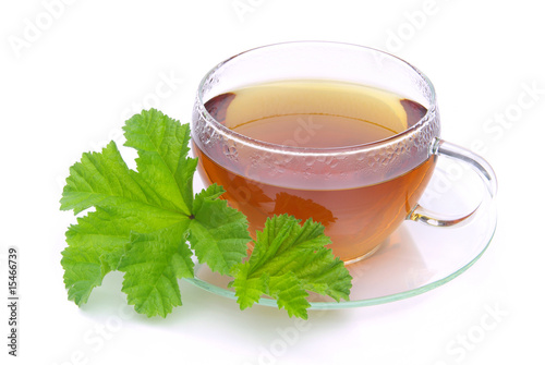 Tee Malve - tea malva 03