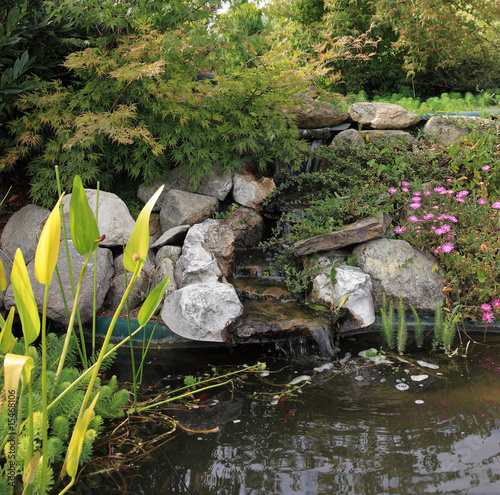 petite source de jardin aquatique