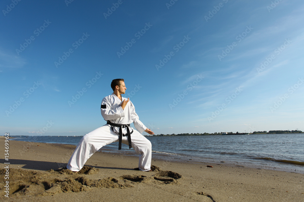 Taekwondo at the beach Am Strand Stock Photo Adobe Stock