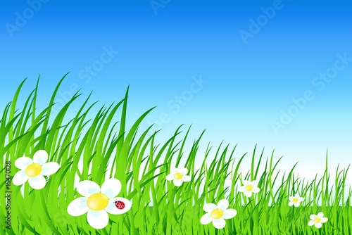 vector cartoon landscape with grass flowes and sky
