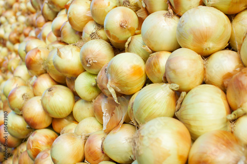 Farmers Market Yellow Onions b