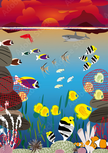 several fish swimming between coral reef at sunset