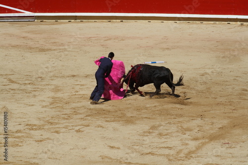 Novillada y espectaculo taurino en San Fermín, Pamplona.