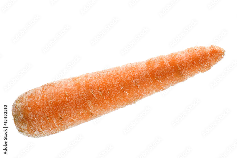 carrot in water carrot in water