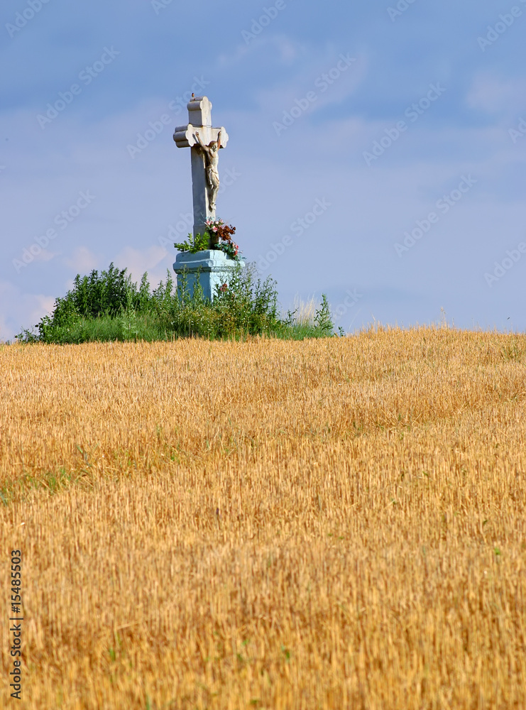 Obraz premium cross