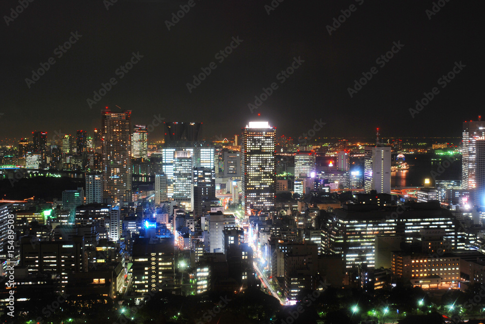 Tokyo capitale du Japon