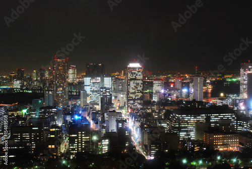 Tokyo capitale du Japon