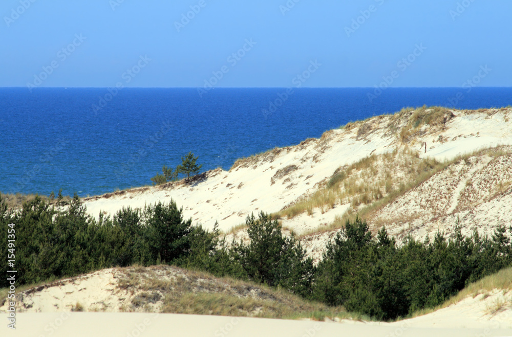 Landscape with sand dunes, forest and the sea at Leba - Poland Landscape with sand dunes, forest and the sea at Leba - Poland