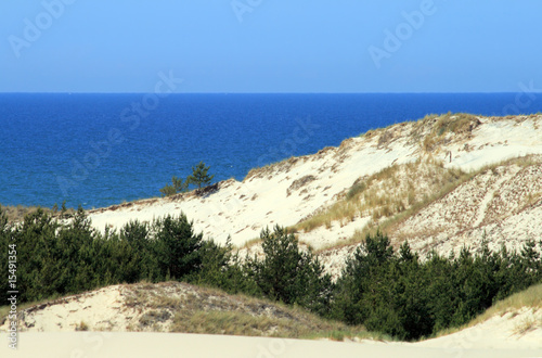 Landscape with sand dunes, forest and the sea at Leba - Poland