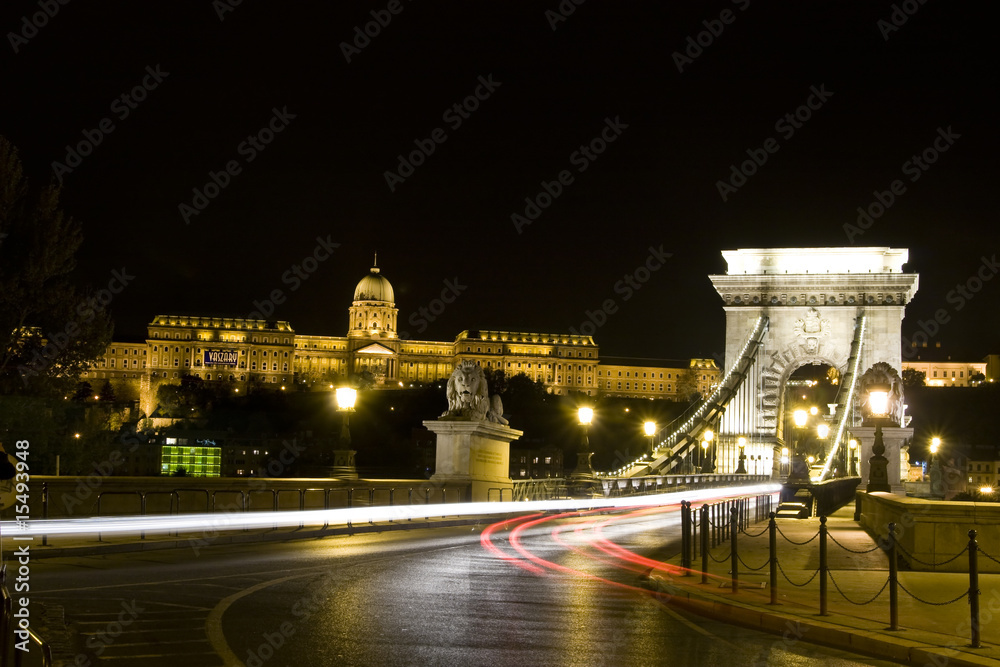 Obraz premium Budapest-Chainbridge at night