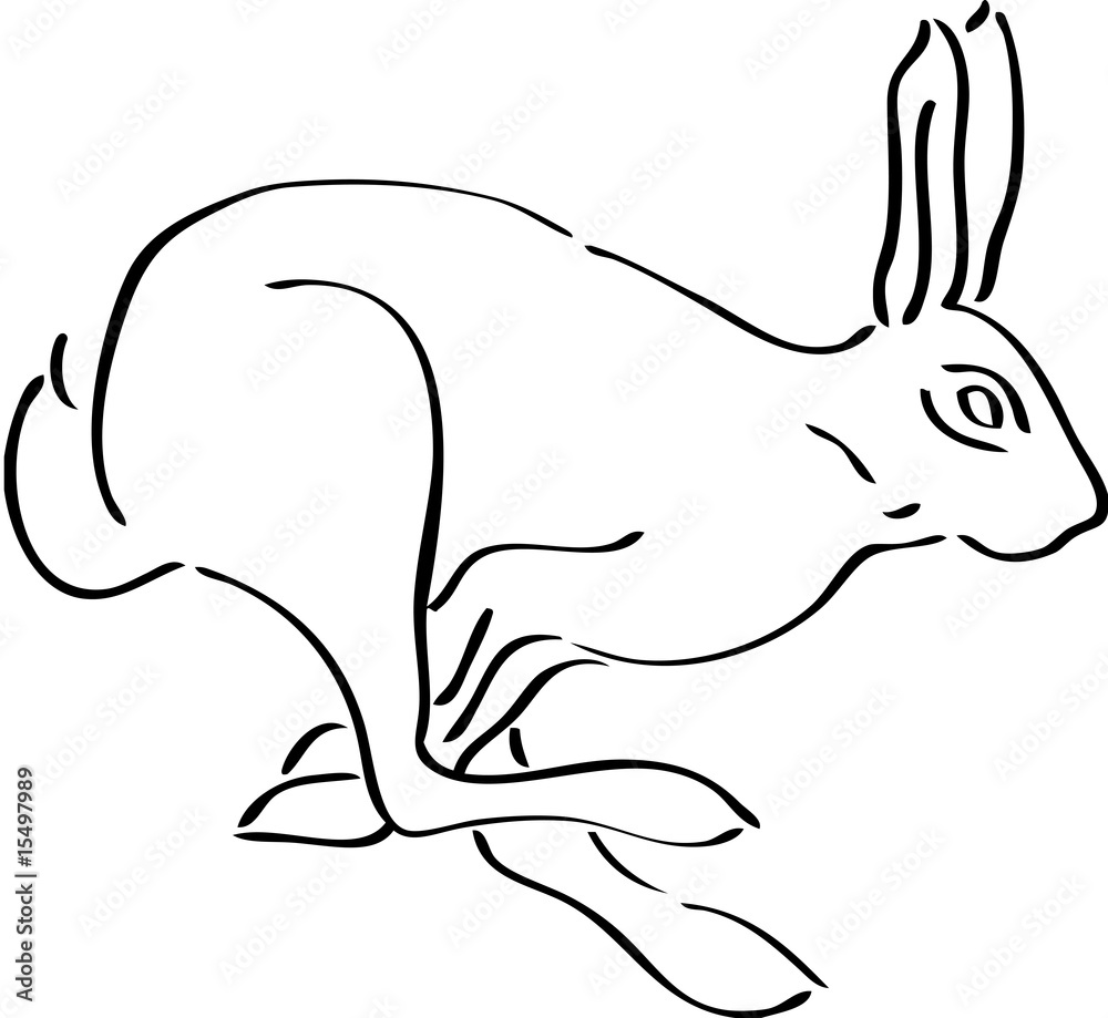 Obraz premium Rabbit