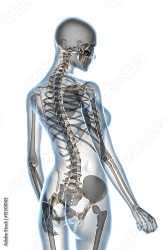 X-ray Anatomy on White