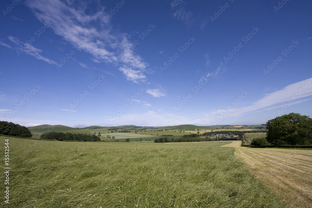 View to the Cheviots View to the Cheviots