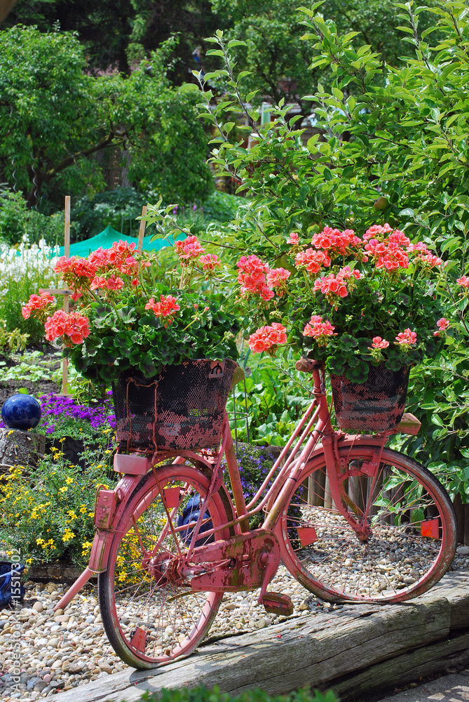Fahrrad als Blumendeko für den Garten
