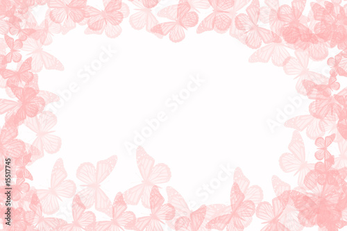 rose butterfly border 3/2