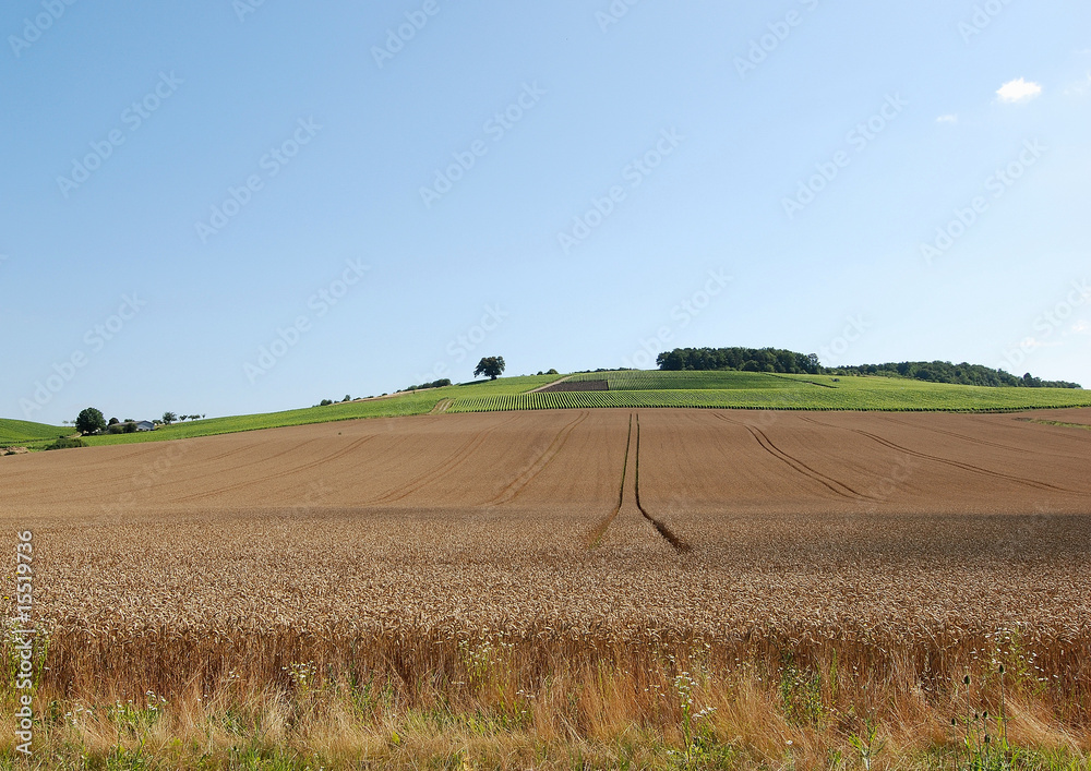 Campagne Auboise, Bligny