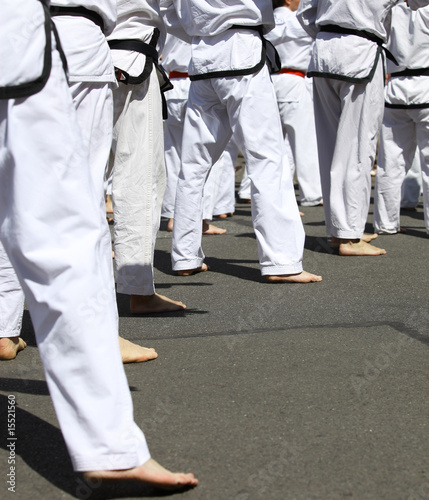 Kwon - black belts - Schwarze Gürtel photo