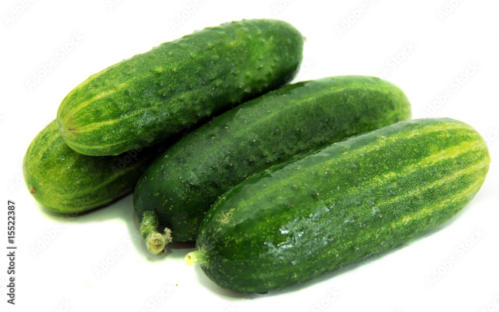 Ripe green cucumbers-natural source of vitamins and freshness Ripe green cucumbers-natural source of vitamins and freshness