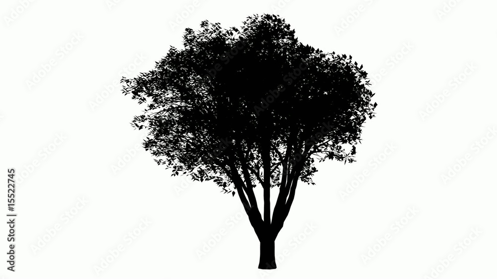 Animated tree