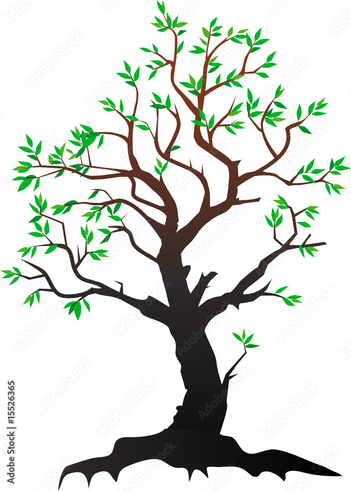 Obraz premium A tree