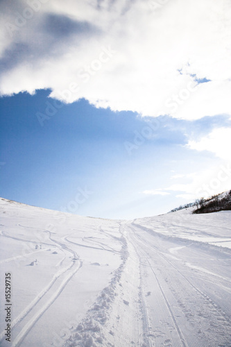 雪原