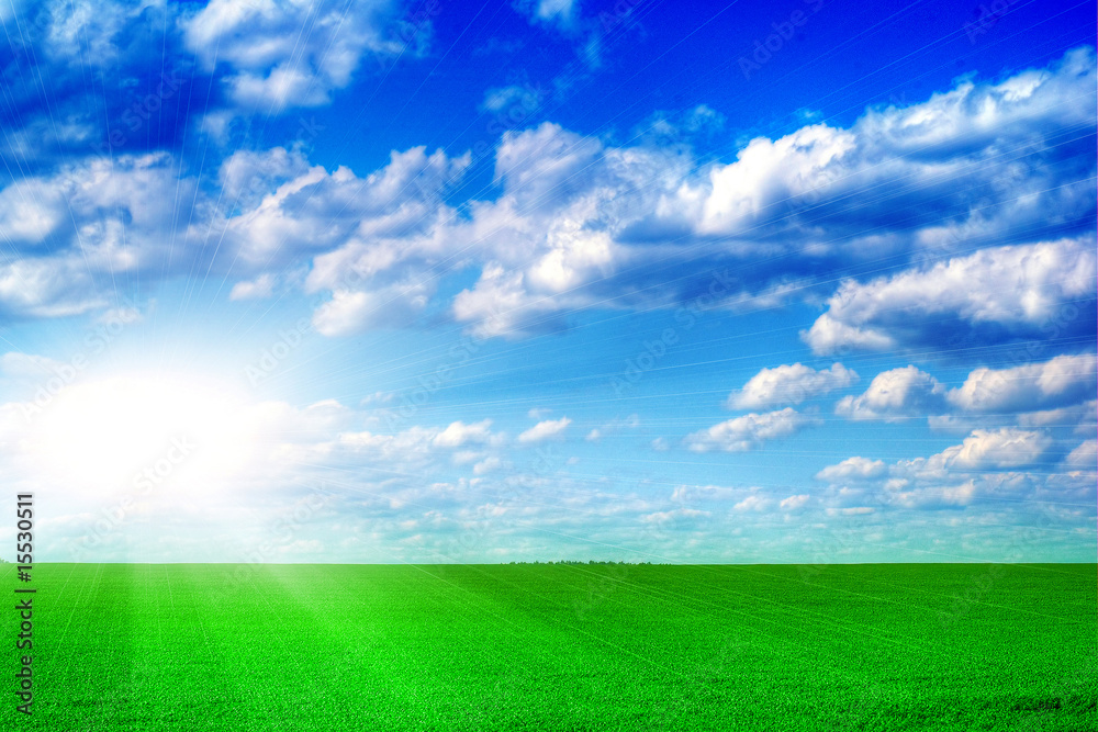 Green grass, the blue sky and white clouds and sun